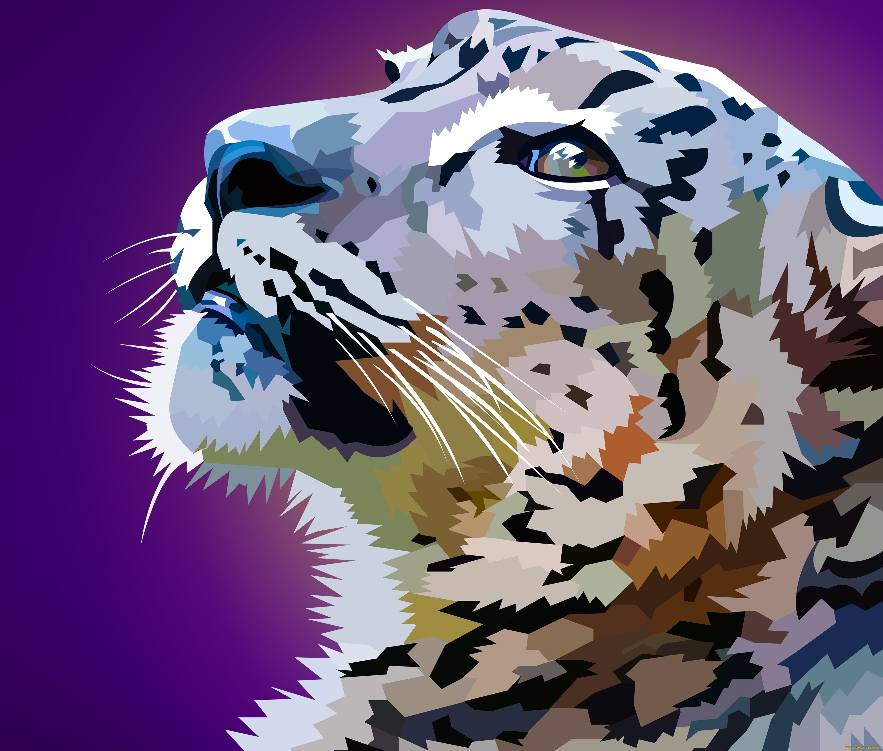  ,  , animals, , 